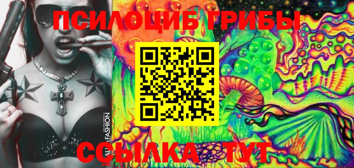 Галлюциногенные грибы Psilocybine cubensis Мариинск